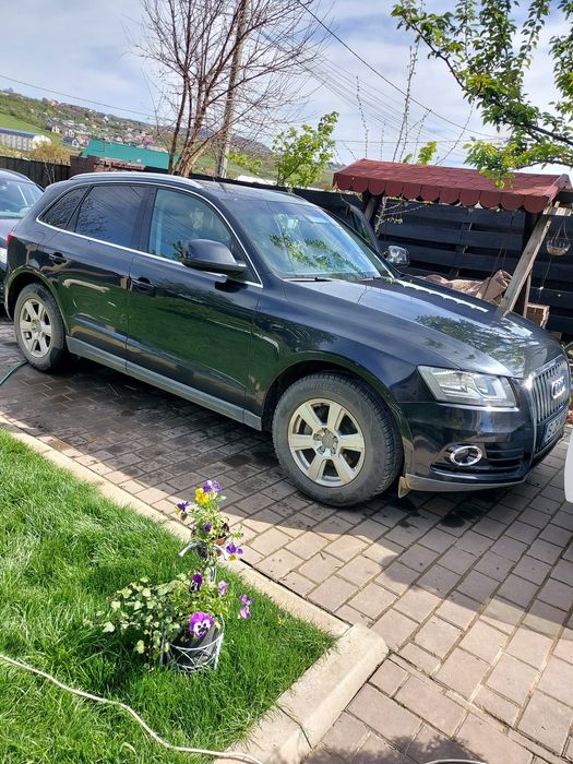 Audi Q5 2013 tdi