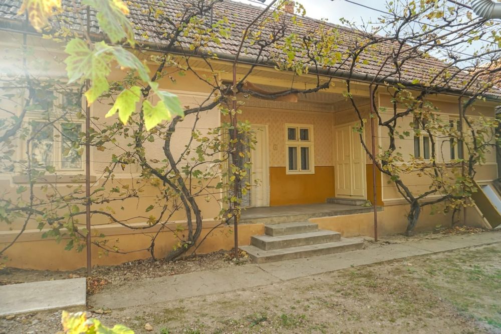 Casa de vanzare + 40 arii teren