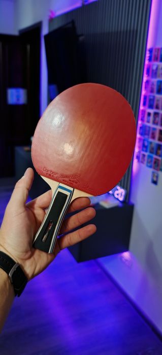 Paleta ping pong (tenis de masa)