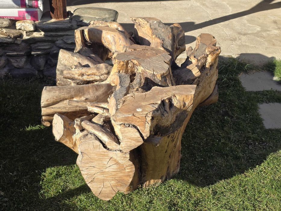 Vand radacina perfecta pt masa sau ca decoratiune