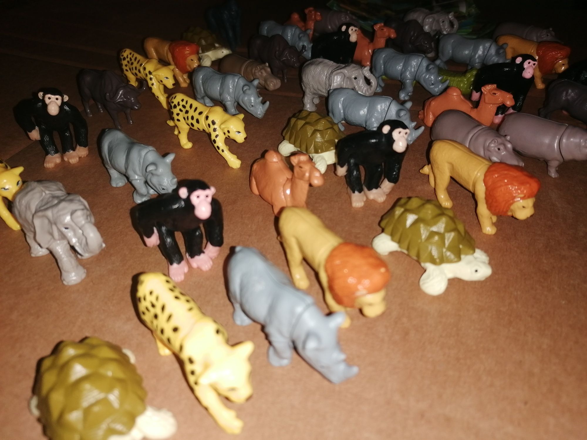 Kinder Jungla africana