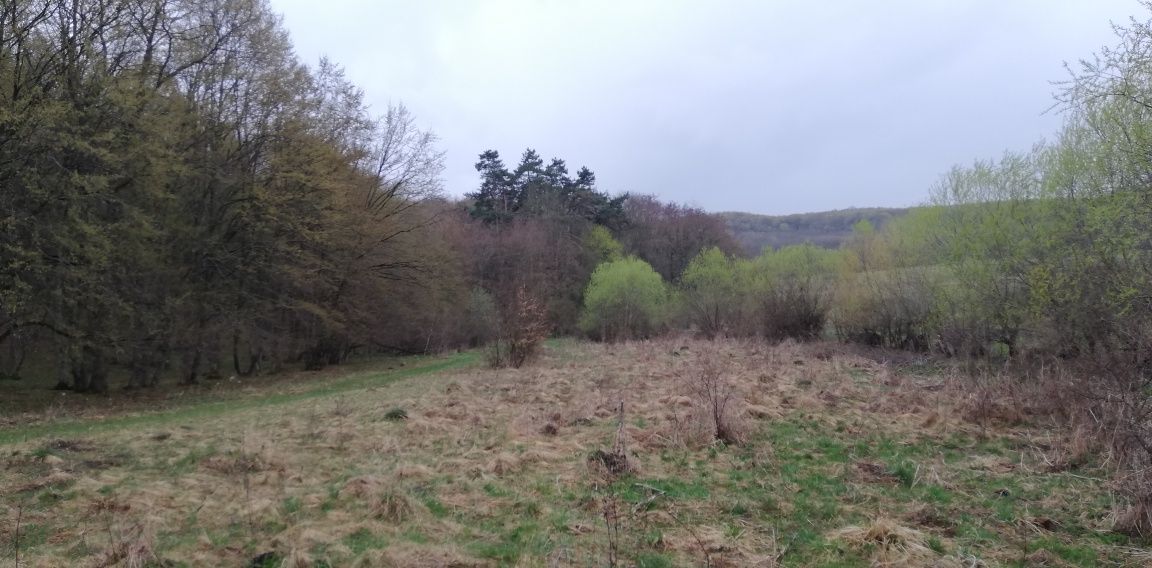 Teren de vânzare în Sânmartin-Macicasu com. Chinteni