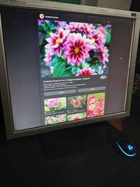 Monitor FLATRON L1918S-SN, 50hz-60hz, 2007