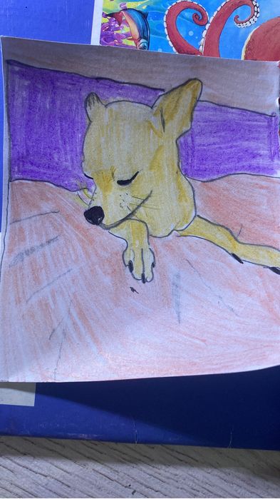 Нарисую вашего питомца