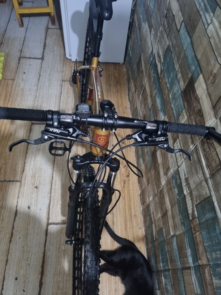 Velo professional