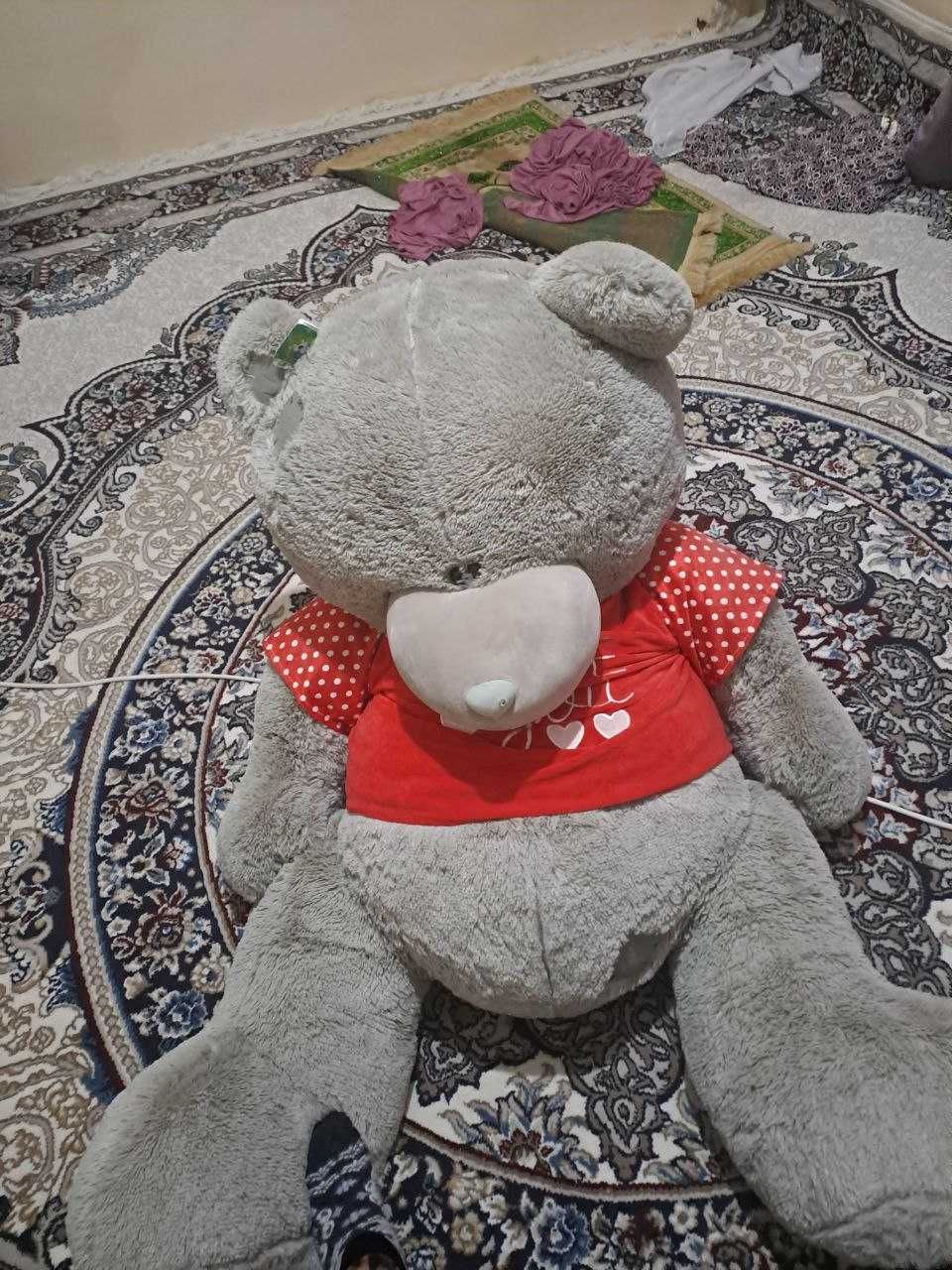 Teddy ayigʻi yangi holatda