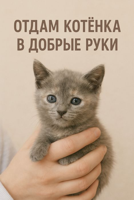 Очаровательная малышка ищет дом!