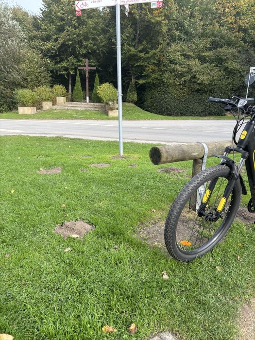 Bicicleta electrica ( bateria nu mai tine )