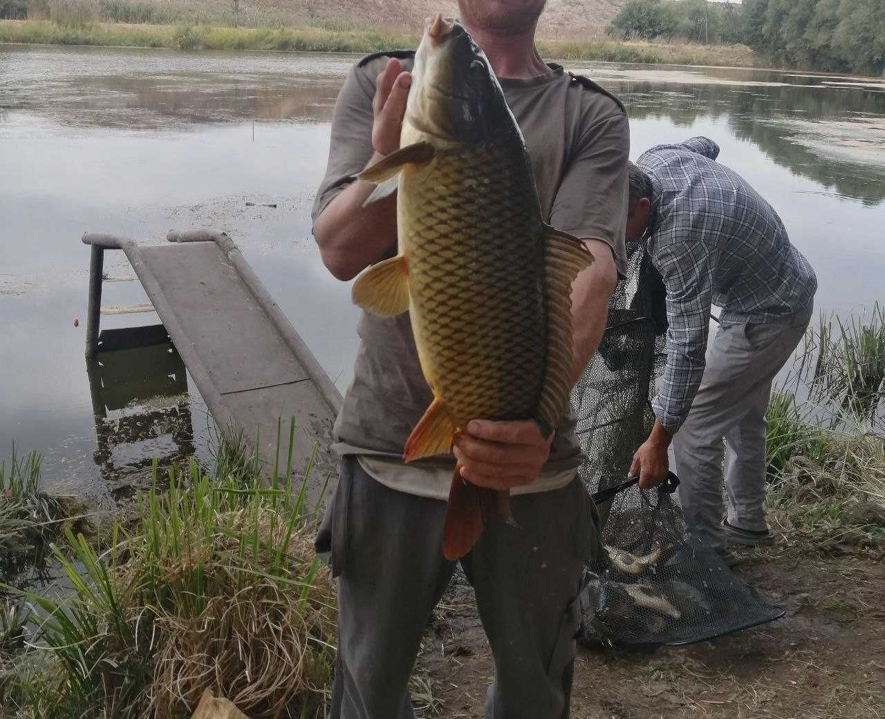 Noturar Bino hududi bilan sotiladi