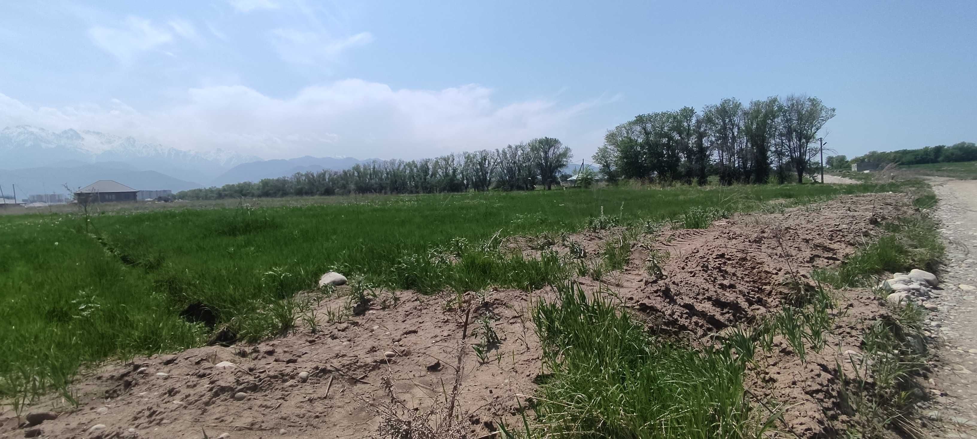 Продам участок в Талгаре