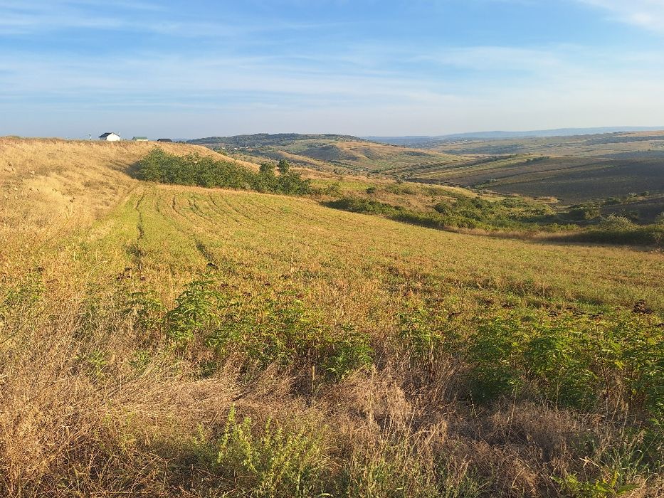 Teren extravilan Breazu-Tautesti