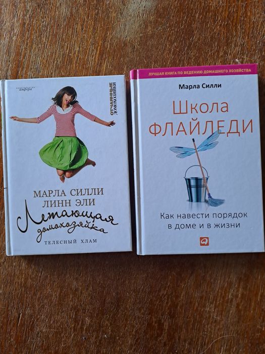 Книга "Флайледи/Летающая домохозяйка" Марла Силли