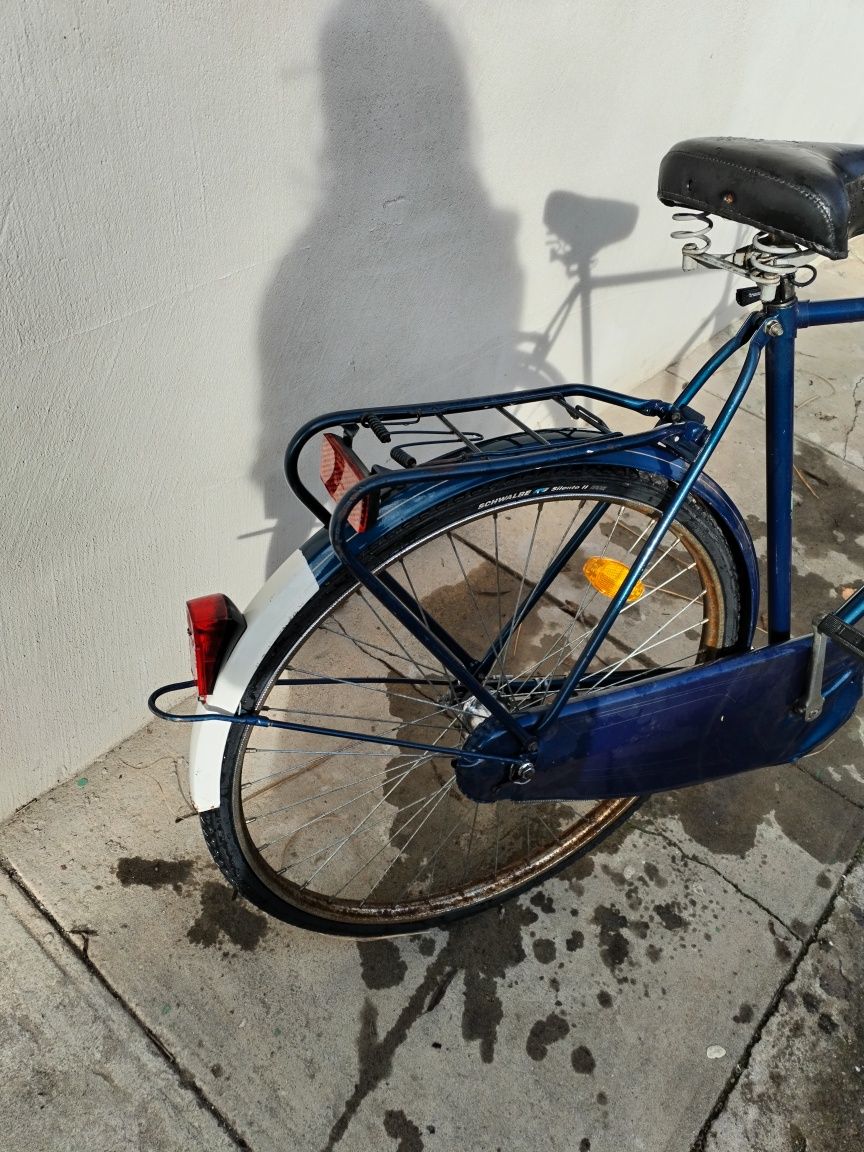 Bicicleta olandeză