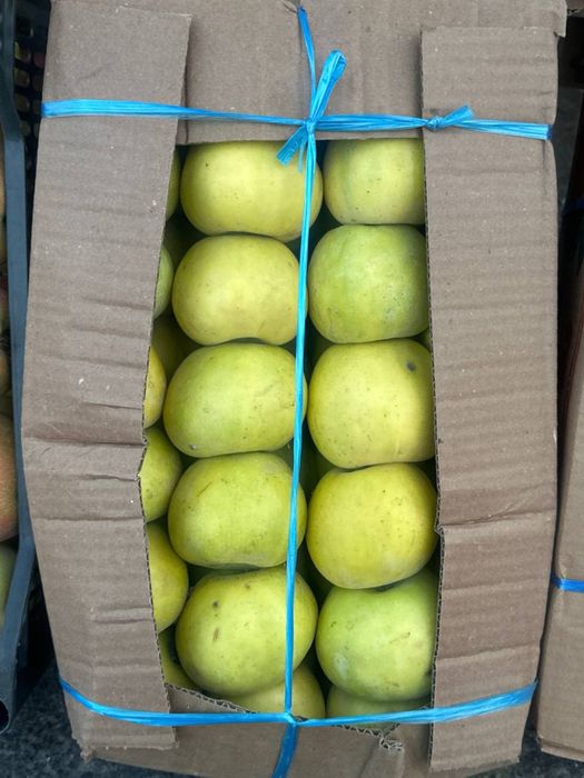 Namangan olmalari bor optom!!!