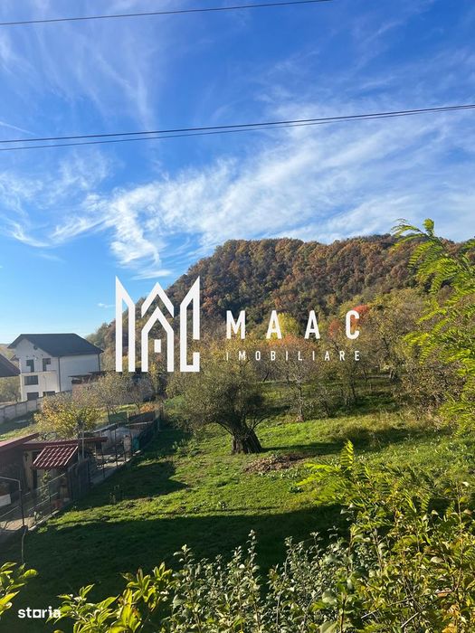 Teren | Vladesti | 1000 MP