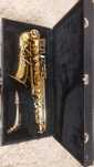 Saxofon alto, marca parrot !
