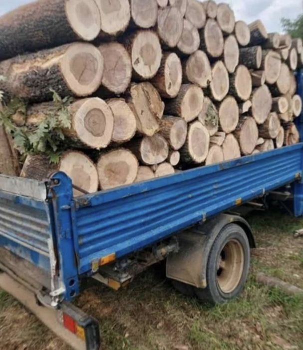 Lemn de foc esenta tare