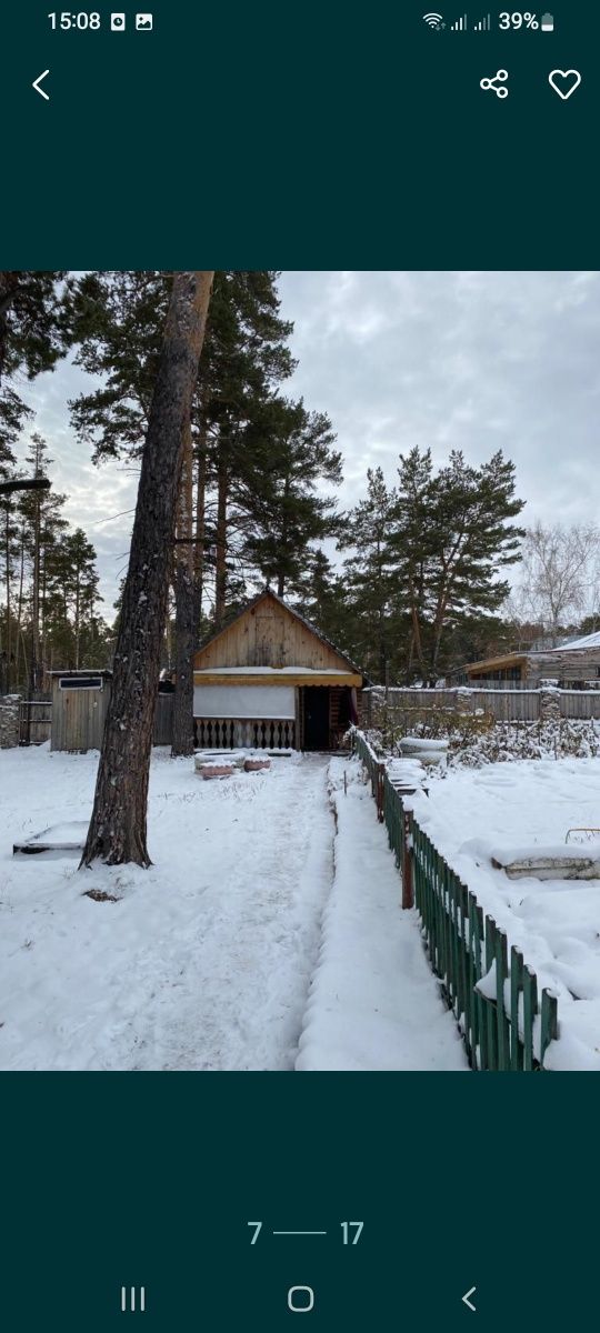 Сдам домики в лесу в Зеренде