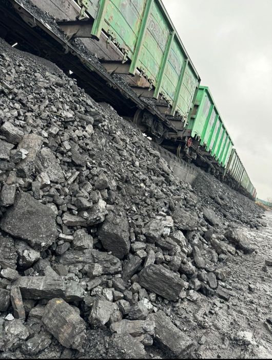 Уголь шубаркульский кузнецкий шлам