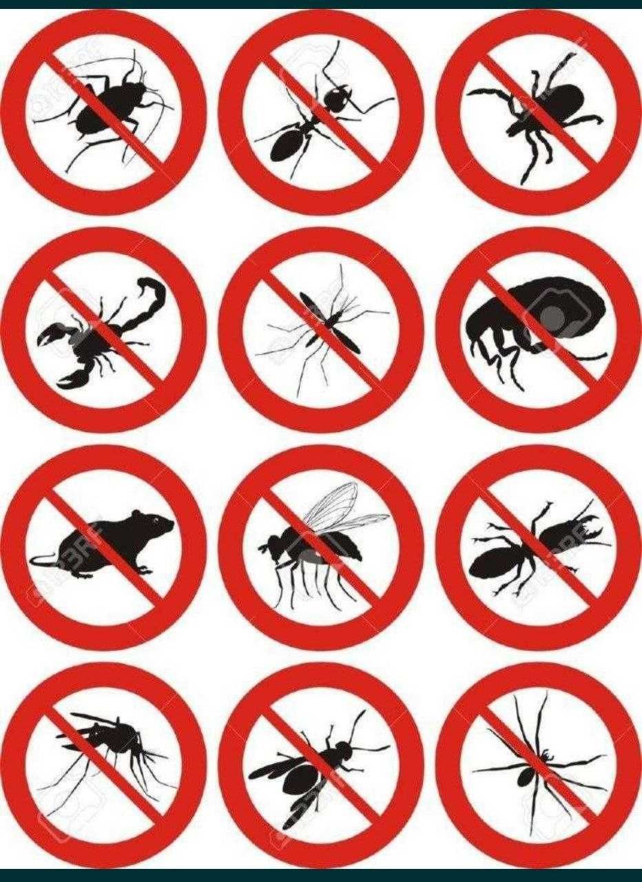 Дезинсекция, дезинфекция дизинфекция 100% ишончли