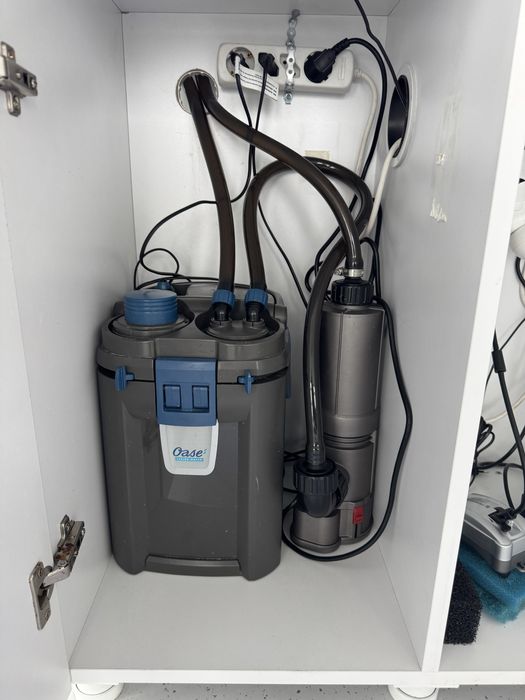 Acvariu Complete with Fish