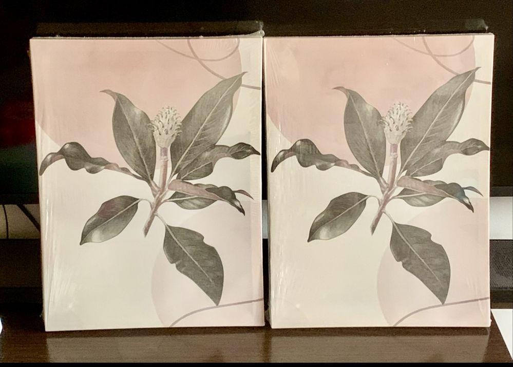 Set de 2 tablouri noi