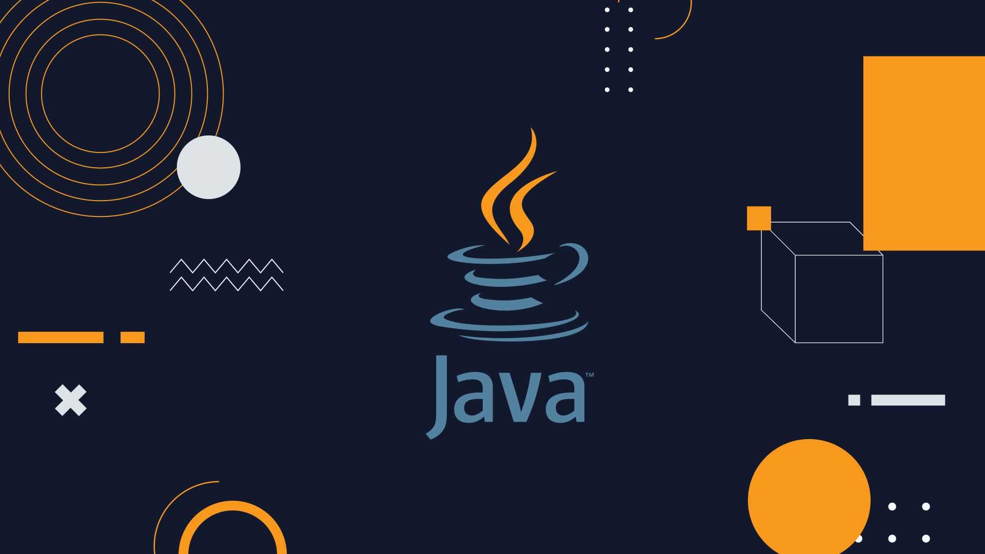 Consiliere/realizare PROIECTE INFORMATICĂ facultate Python/JAVA/C++
