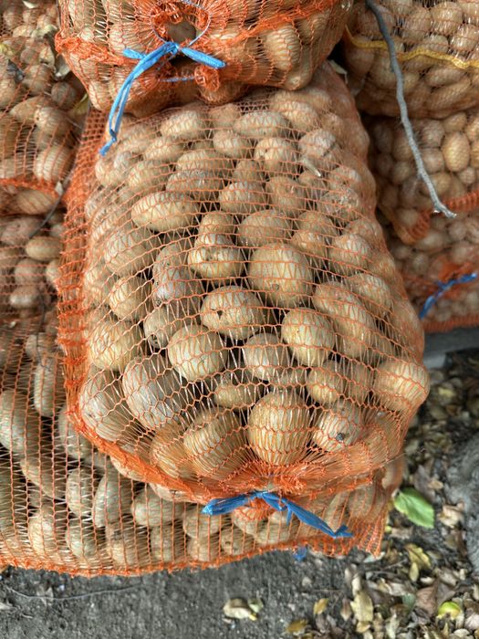 Cartofi pentru animale