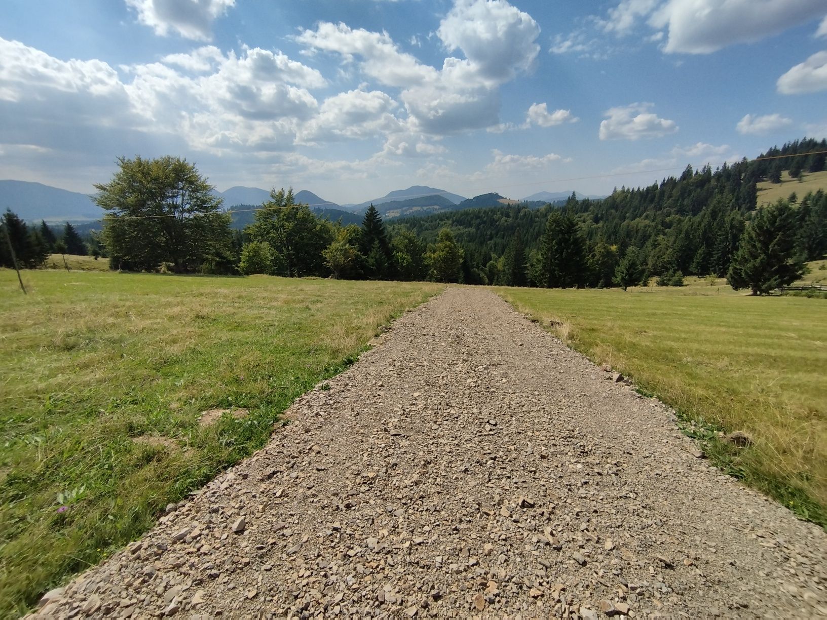 Teren Pasul Tihuța/Piatra Fântânele