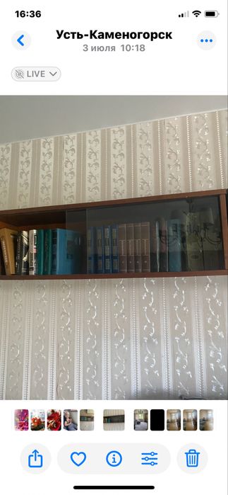 Книжная полка без стекла
