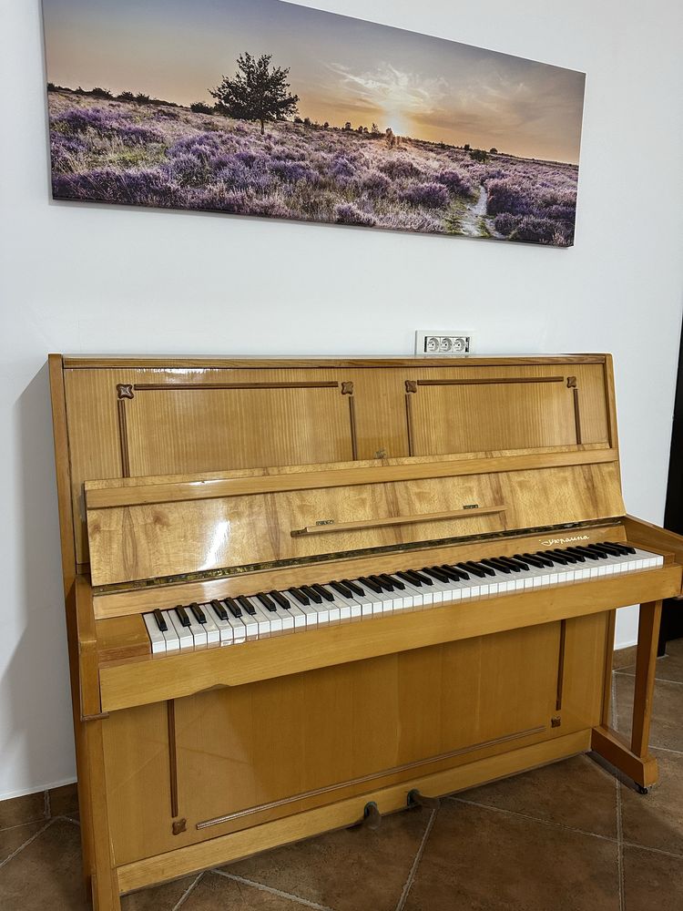 Vand pianina Simfonia,placa bronz.