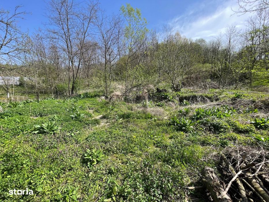 Oportunitate de Investiție în Slănic Prahova