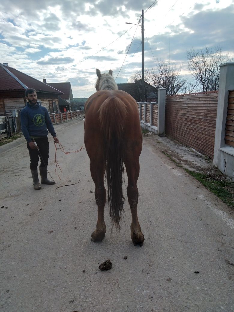 Vind minz de un an și 10 luni