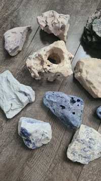 Schimb sau vând pietre calcaroase pentru acvariu