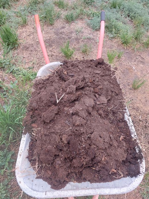 Отдам Бесплатно такой чернозем