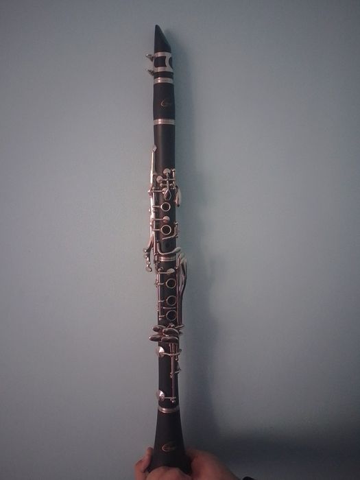 Clarinet odyssey