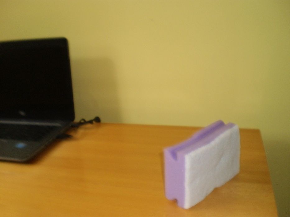 Гъба и четири легени