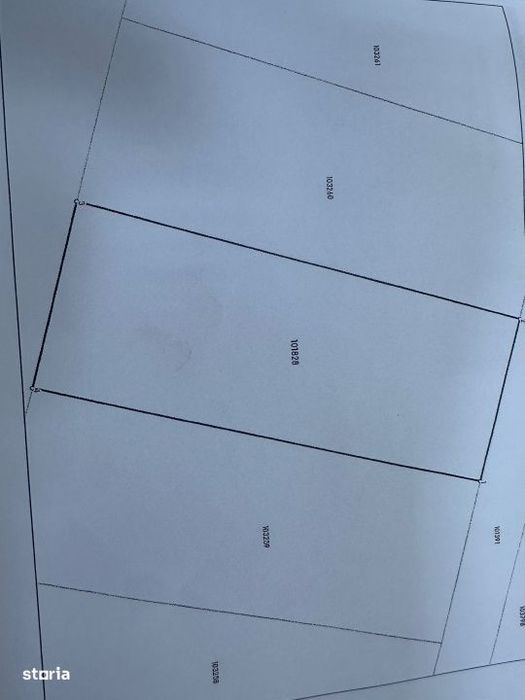 Teren intravilan, 1000 mp, Daia Noua