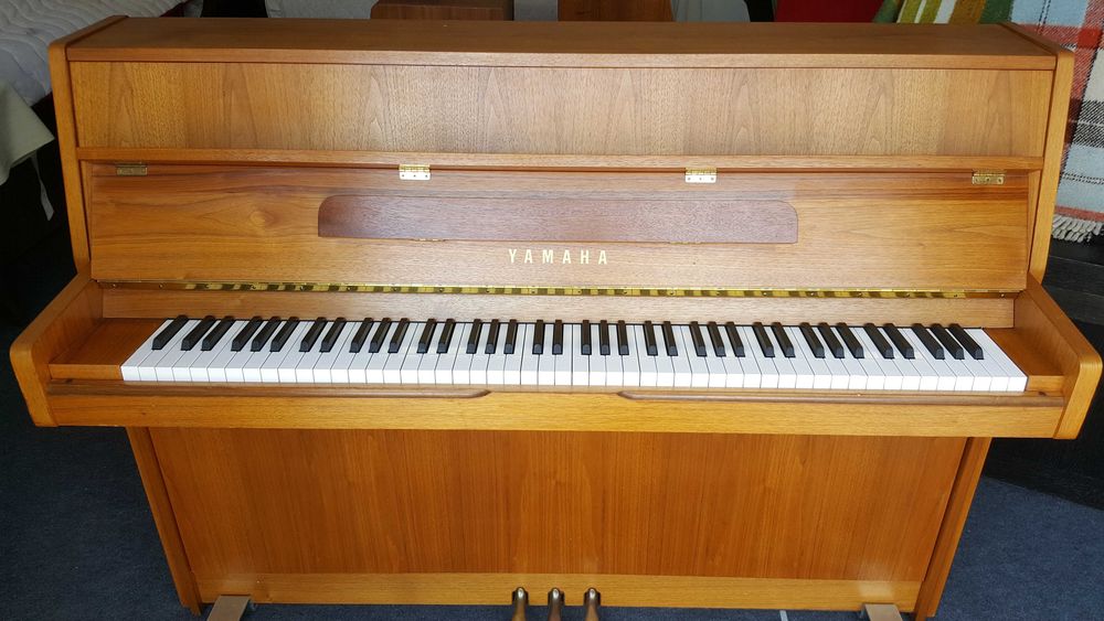 Piane - pianine profesionale!