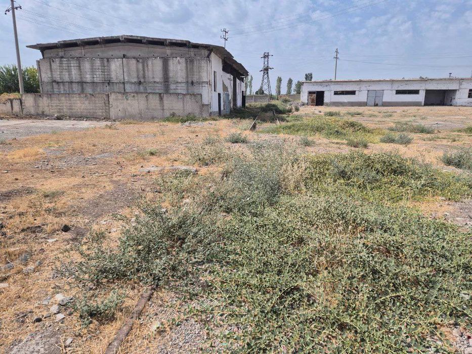 ХХХ Продаётся промзона 3 гектар Чиназ с Ж/Д веткой