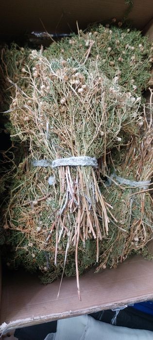 Адыраспан + Доставка