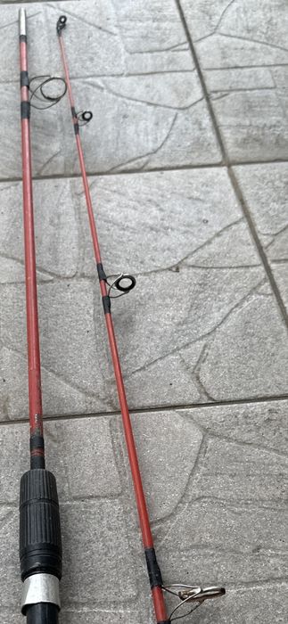 Germina lanseta germina varga cardinal undita