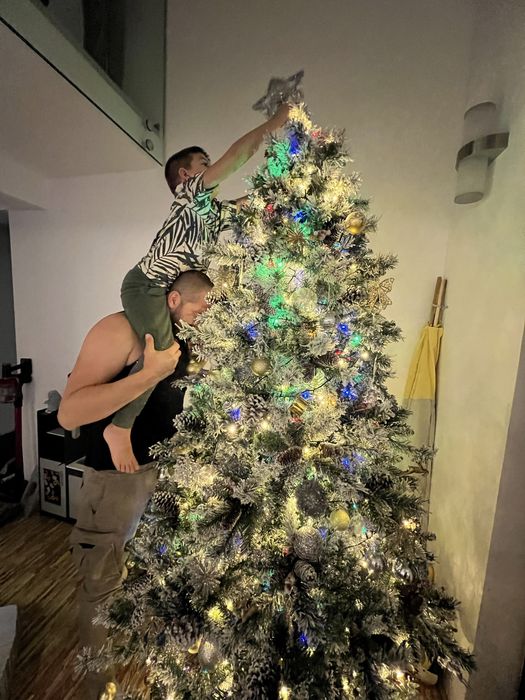 Brad artificial DeLux cu zapada/conuri 240 cm