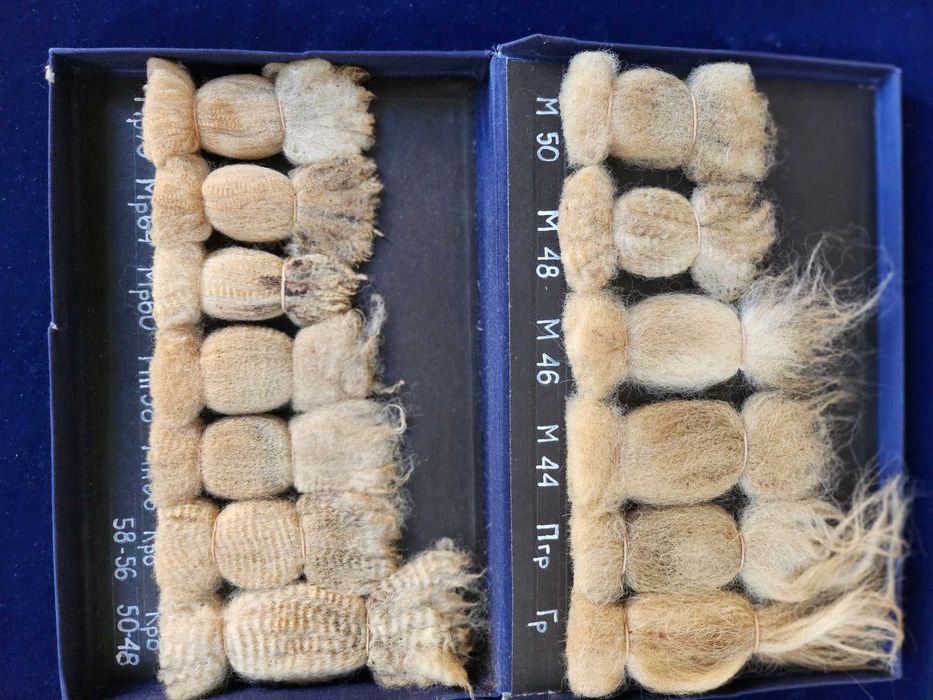 Овча вълна стригана - Еталон за качеството на 13 вида от СелС Академия