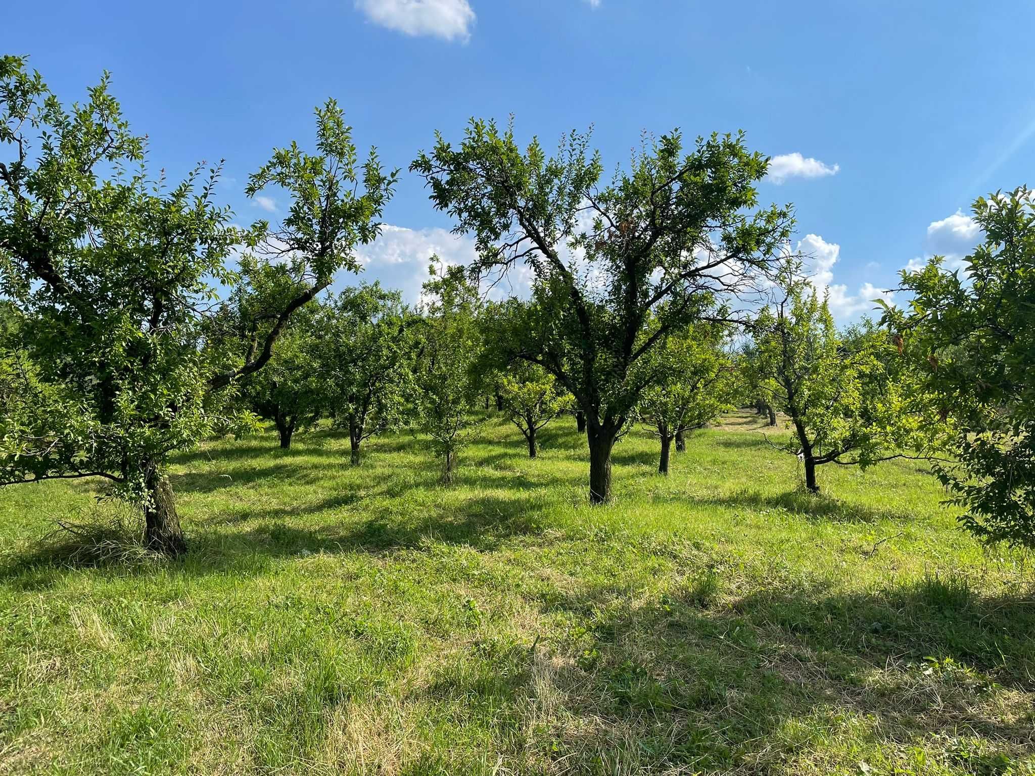 Teren intravilan în Breaza, 651mp, peisaj superb