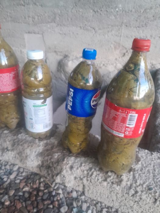 Tuzlangan tok barglari sotiladi