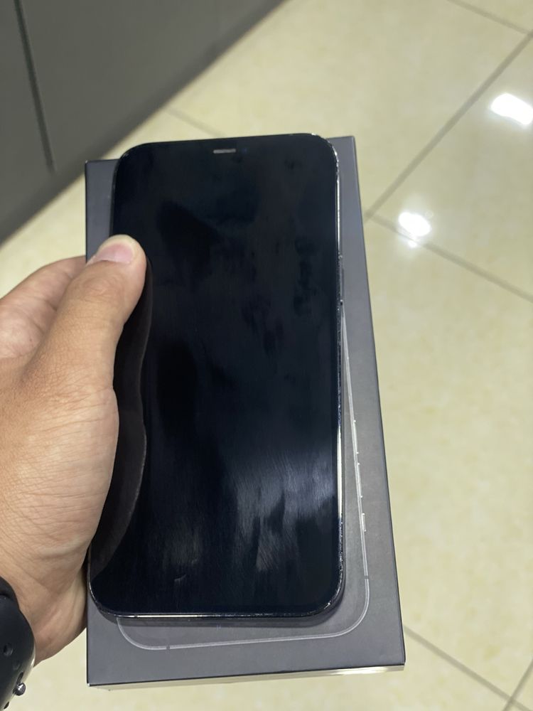 iPhone 12 Pro Max