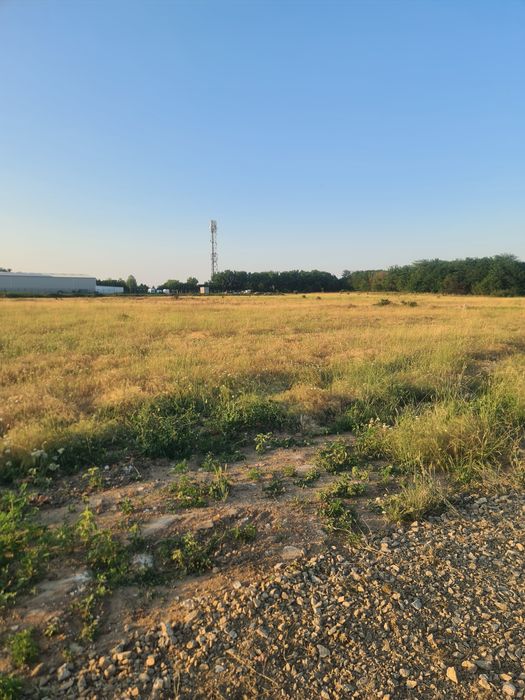 Teren 2 parcele intravilan 680m fiecare Metro Carcea lângă strada