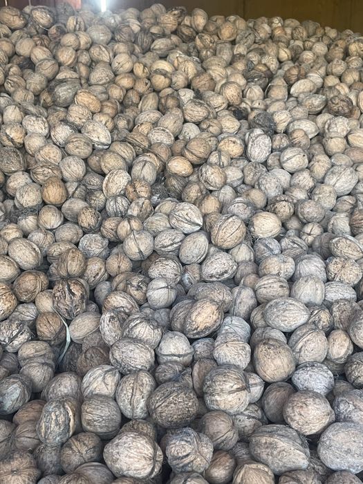 Vand nuca de anul aceasta 6lei  kg  coarja  foarte subtire