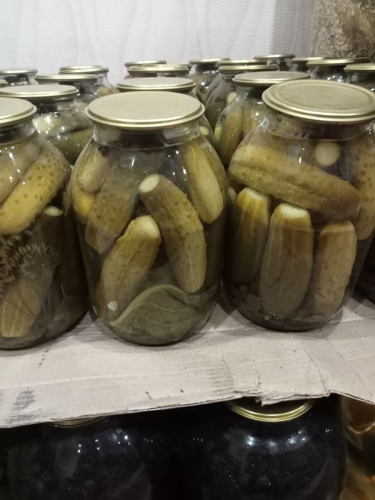 Продам огурцы домашние